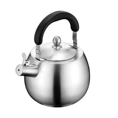 Stainless Steel Water Kettle